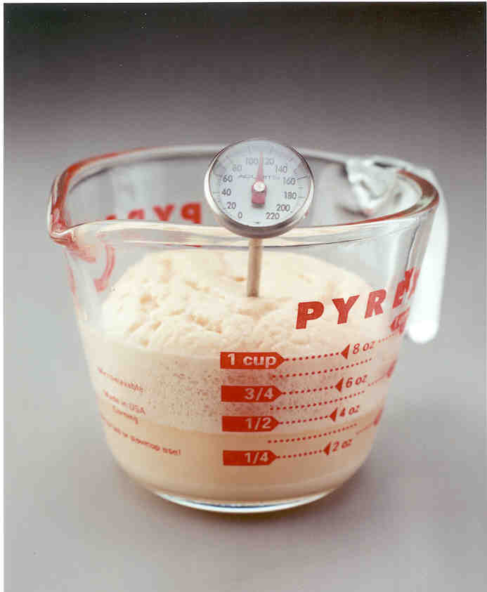 Yeast Baking Lessons Yeast Freshness Test Red Star Yeast