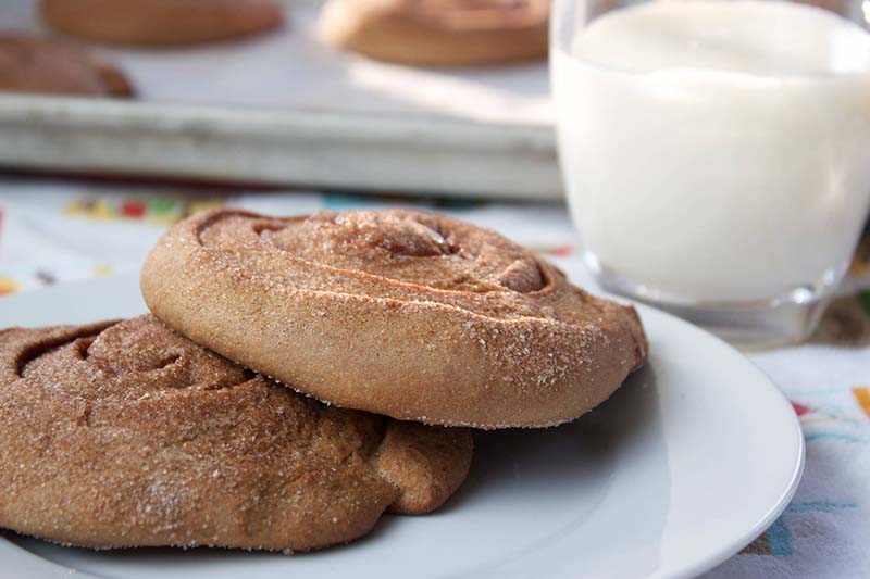 Chocolate Cinnamon Crisps