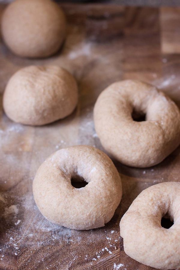 Honey Wheat Bagels Red Star® Yeast