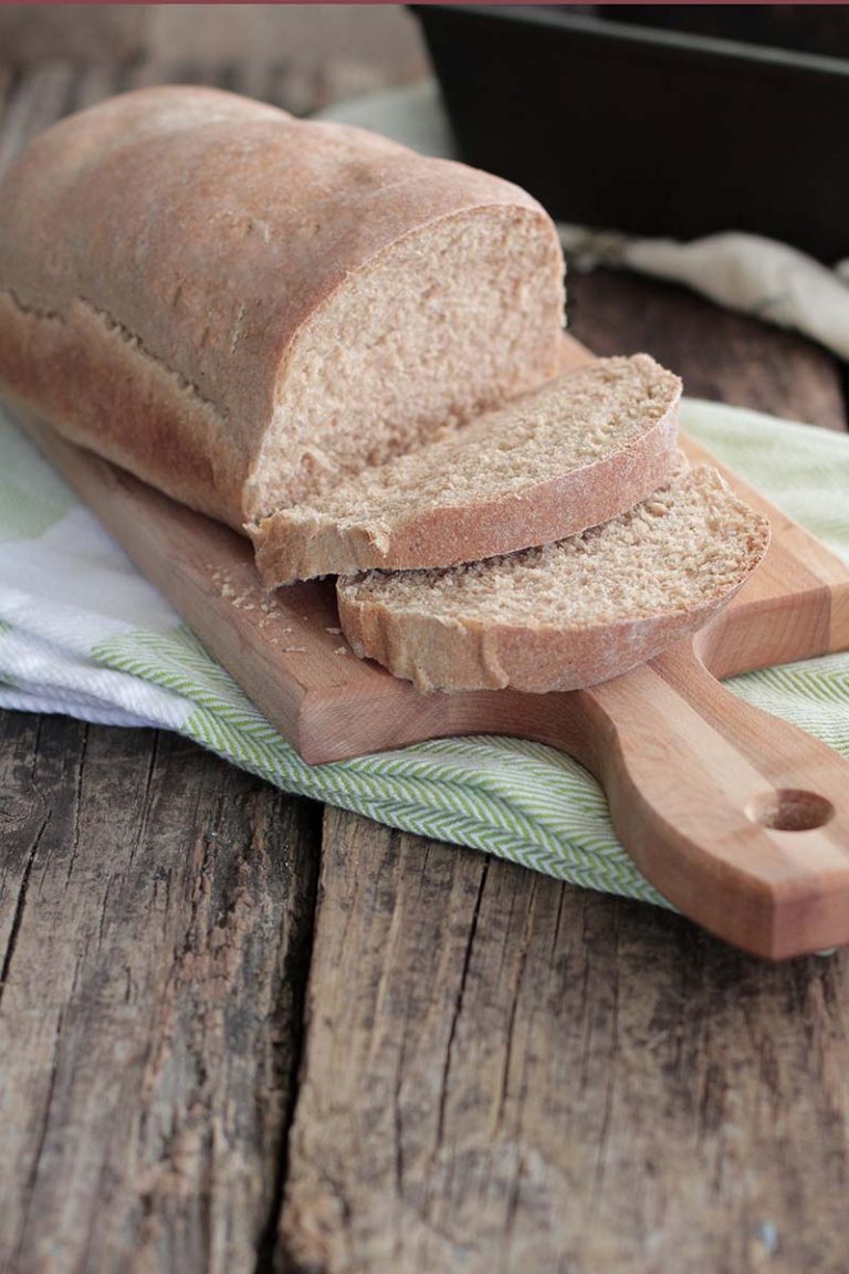 Special Whole Wheat Bread