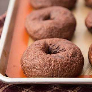 Cocoa Sourdough Bagels - Red Star® Yeast
