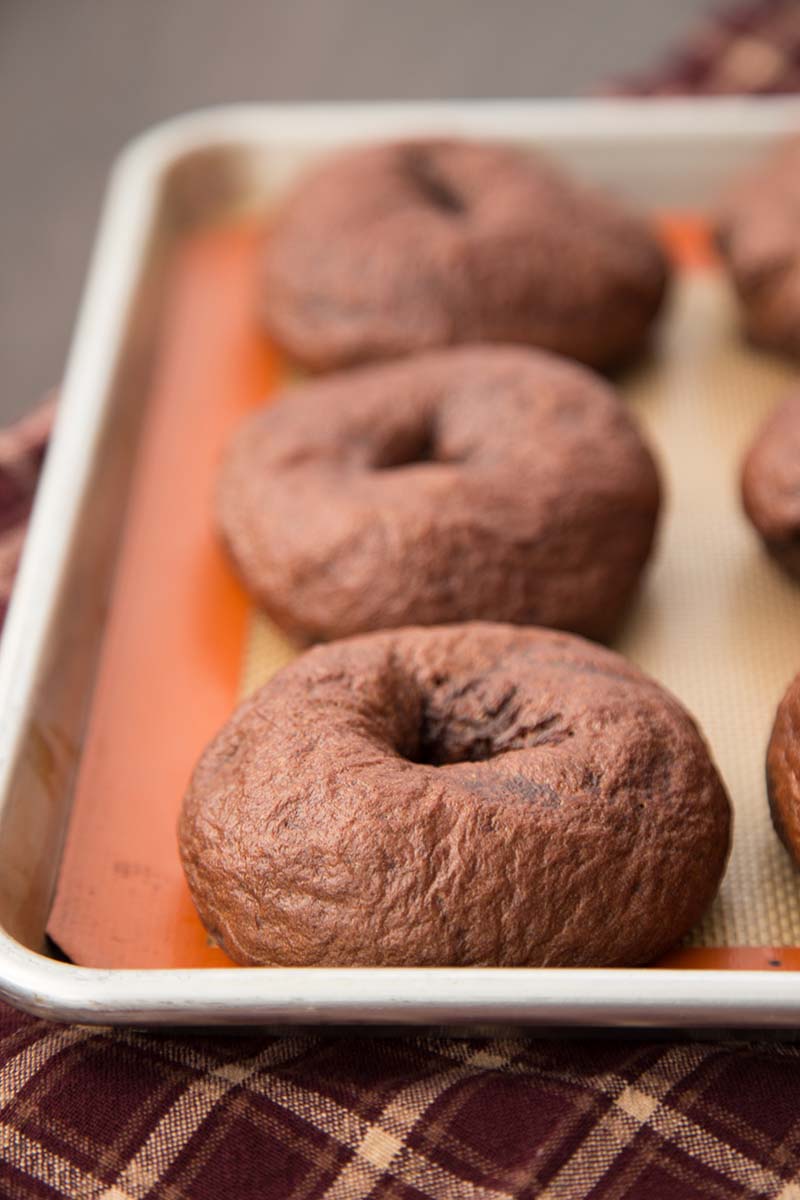 Cocoa Sourdough Bagels