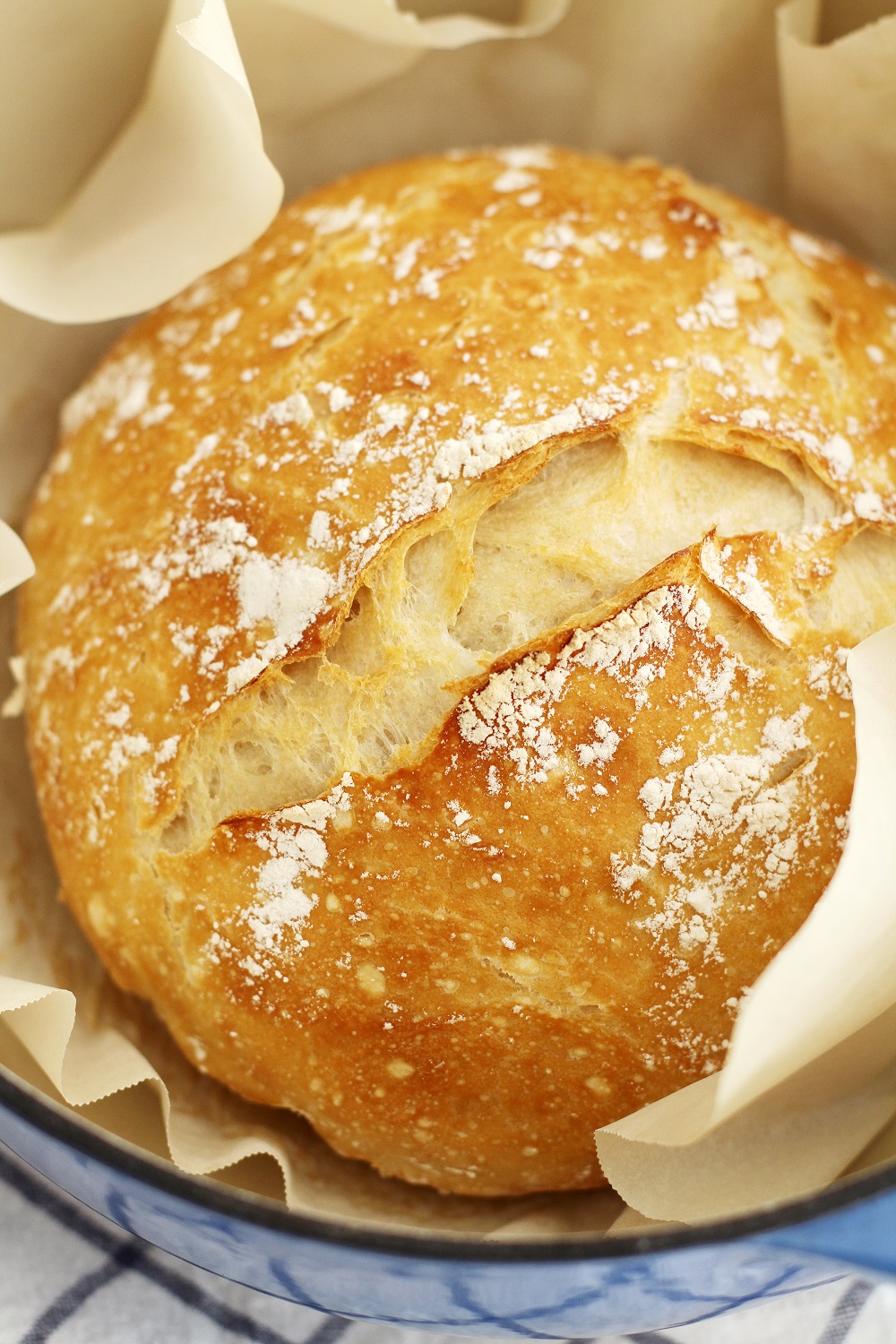 No Knead Dutch Oven Bread Recipe