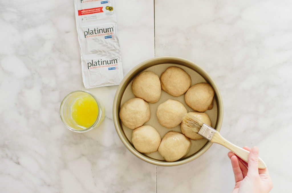 Whole Wheat Pull Apart Dinner Rolls