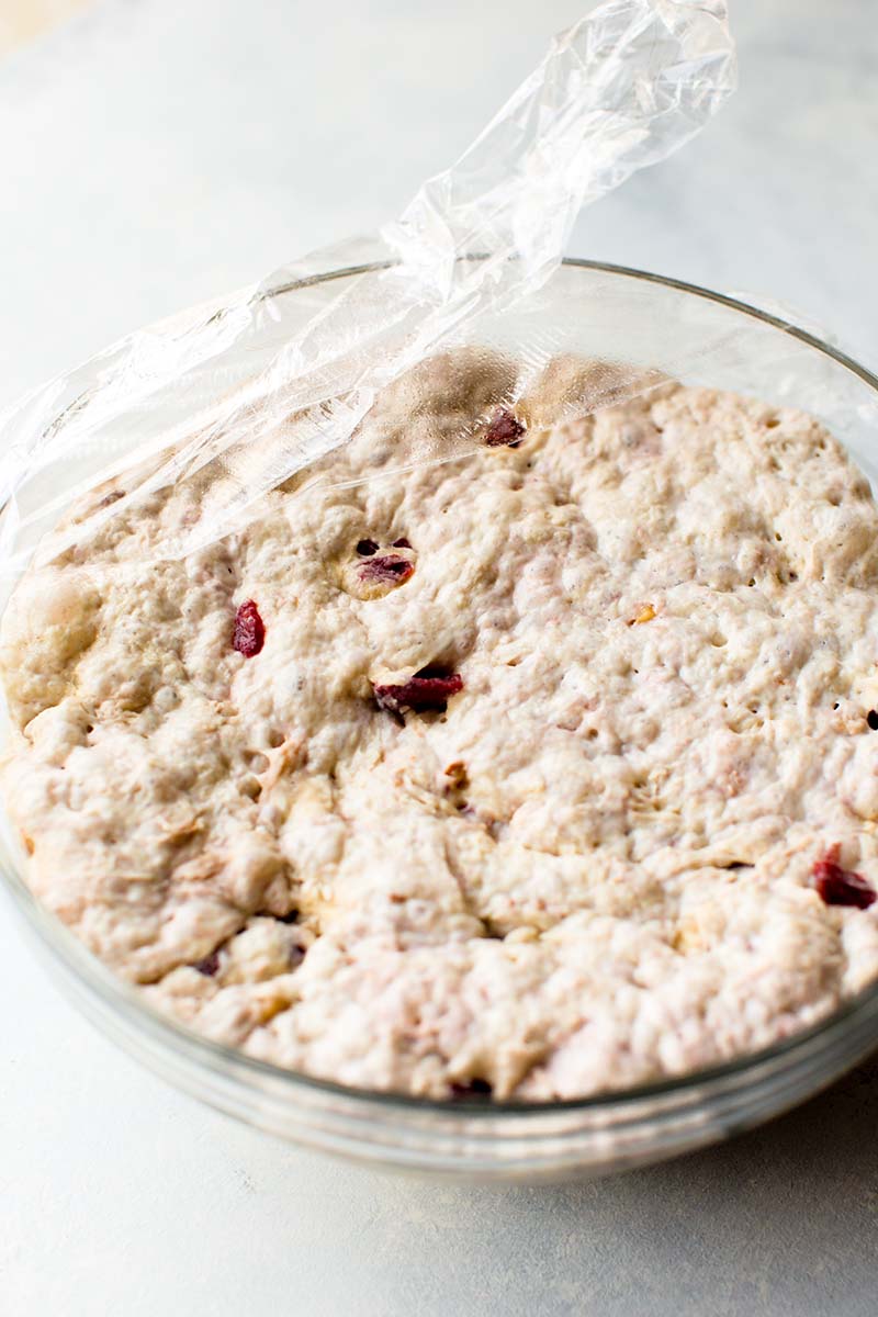 No Knead Crusty Cranberry Nut Bread