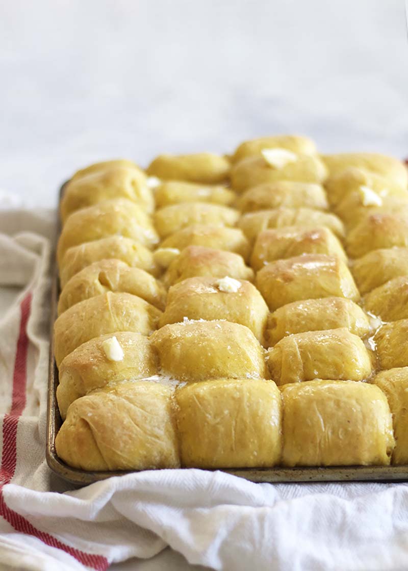 Pumpkin Parker House Rolls