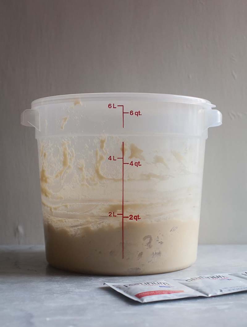 Chocolate Chestnut Bread 