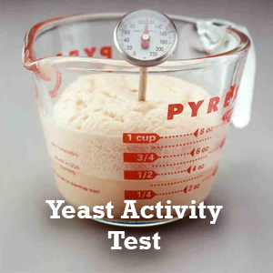 Yeast Activity Test