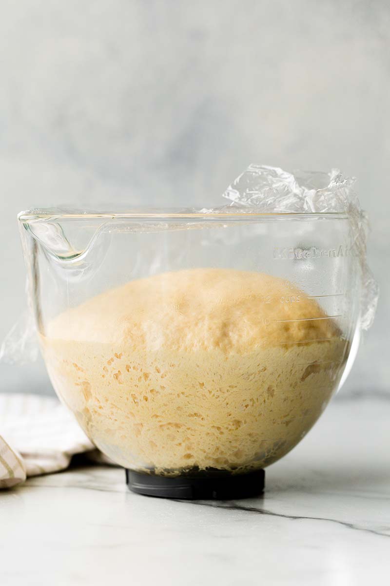 Apple Cinnamon Babka 