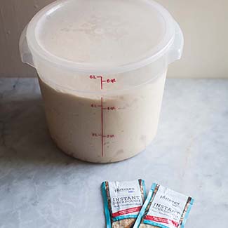Instant Sourdough Brioche - Red Star® Yeast