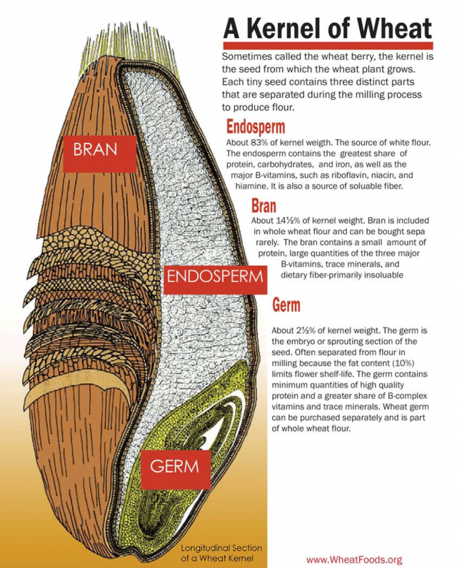 Common Bread Baking Ingredients Red Star® Yeast