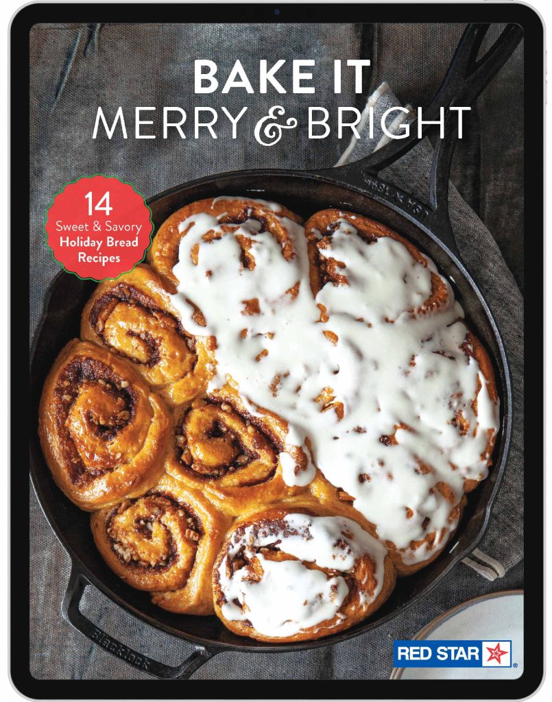 Bake it merry and bright holiday recipe ebook