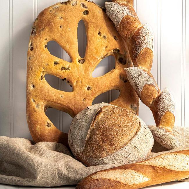 Artisan Master Dough