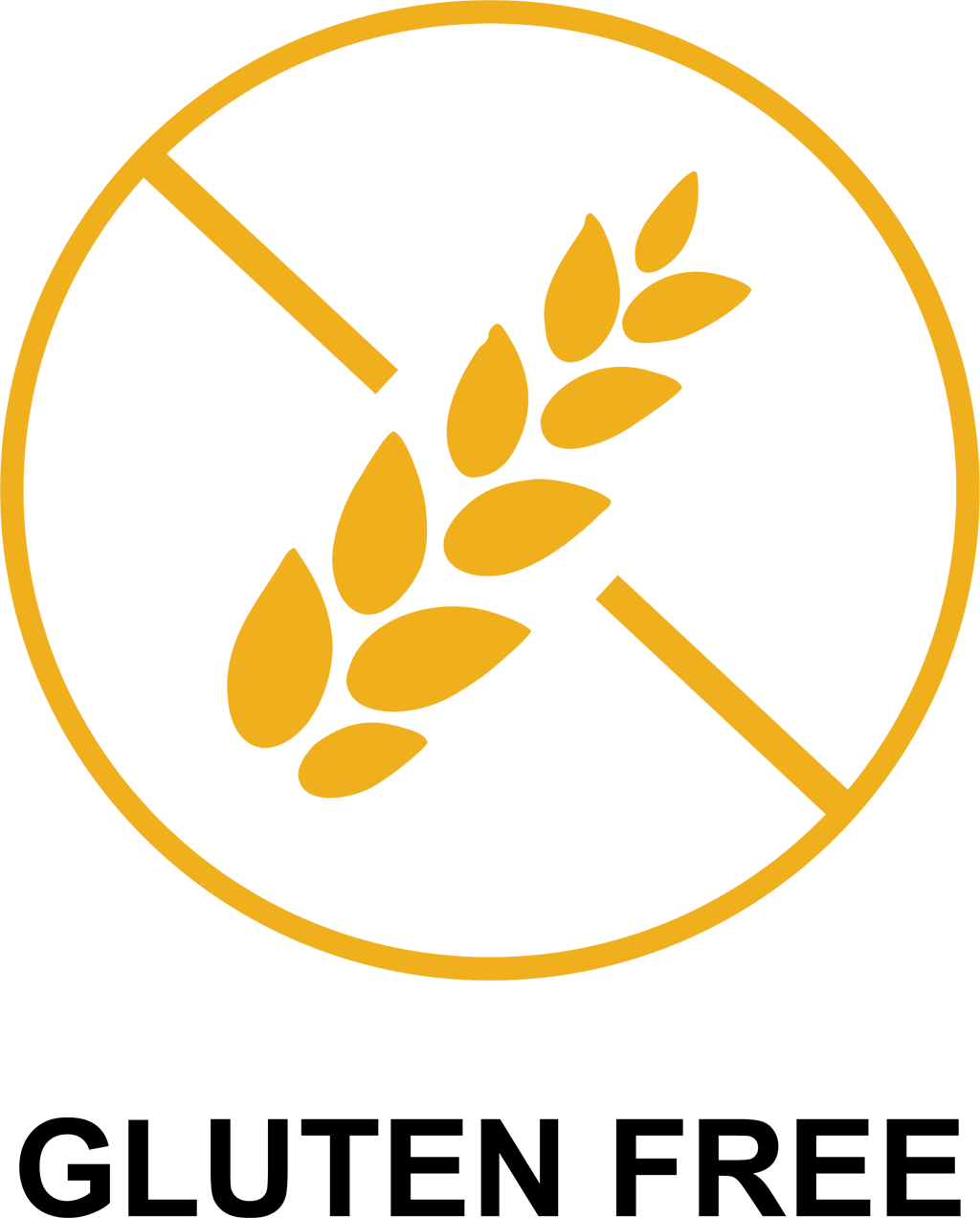 Gluten Free